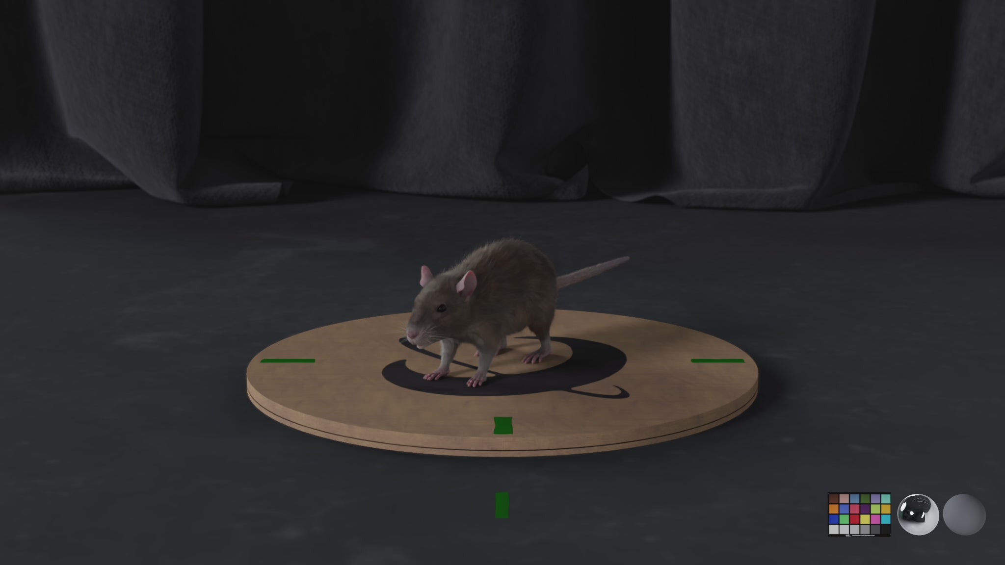 Mouse
