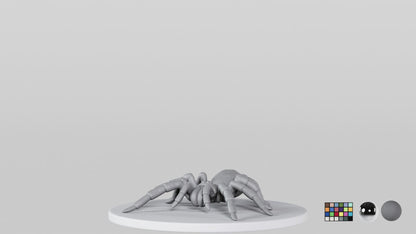Tarantula