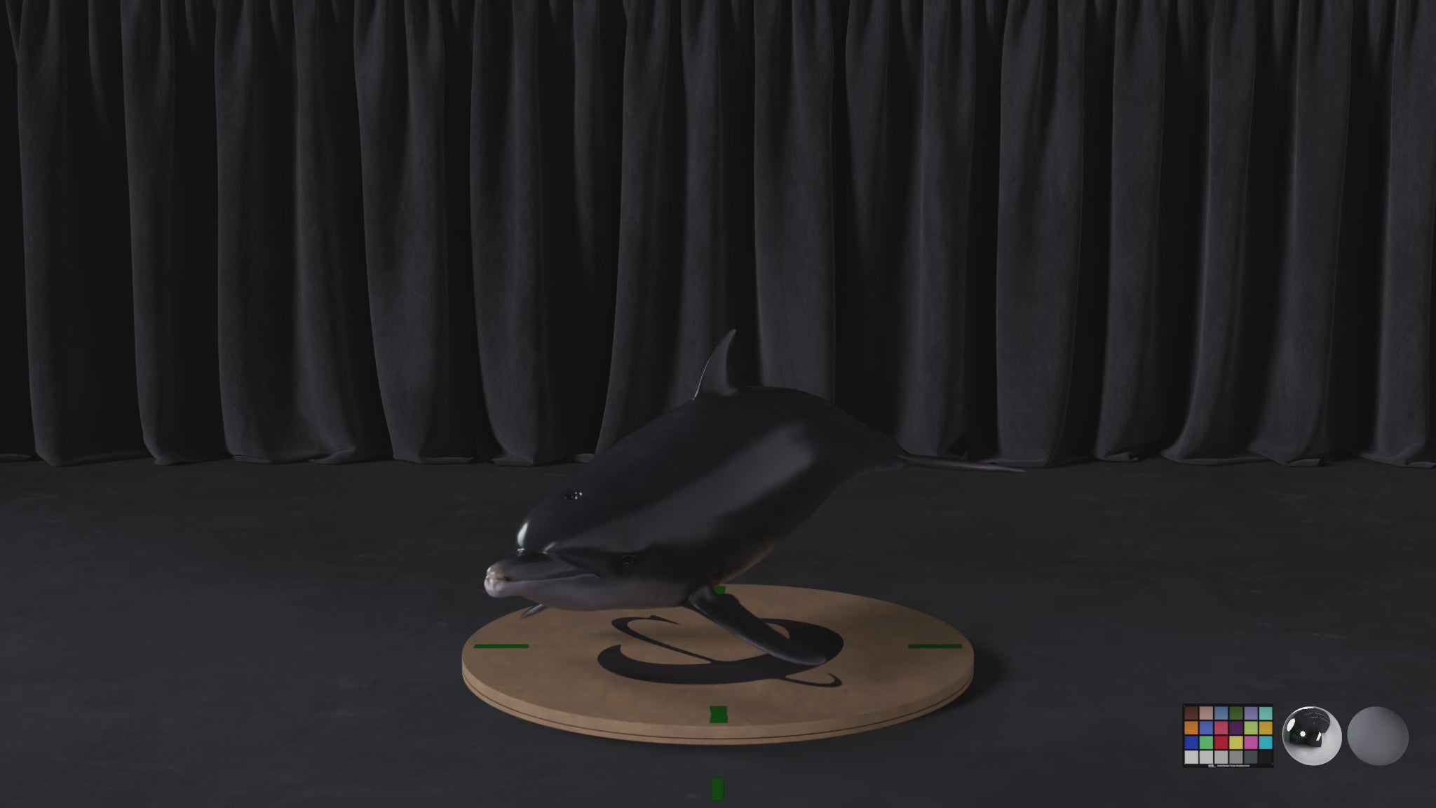 Dolphin