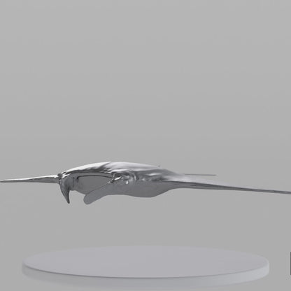 Manta Ray