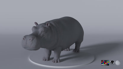 Hippopotamus