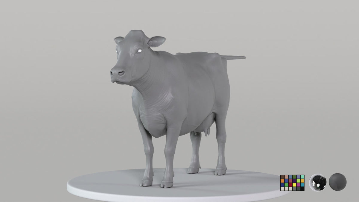 Cow