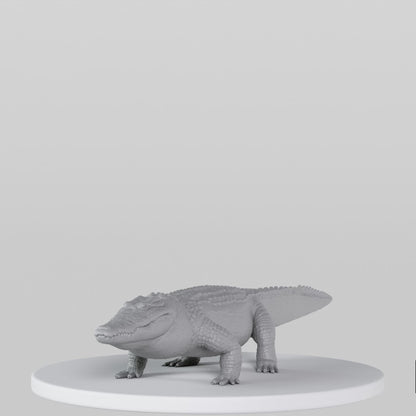 Crocodile
