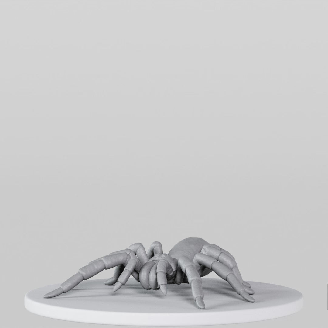 Load video: Tarantula