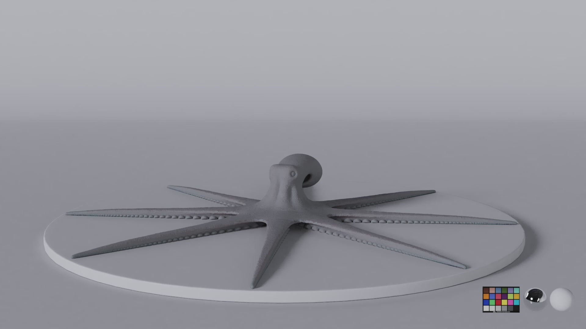 Octopus