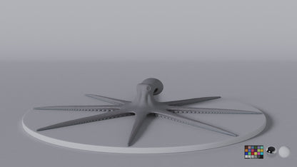 Octopus