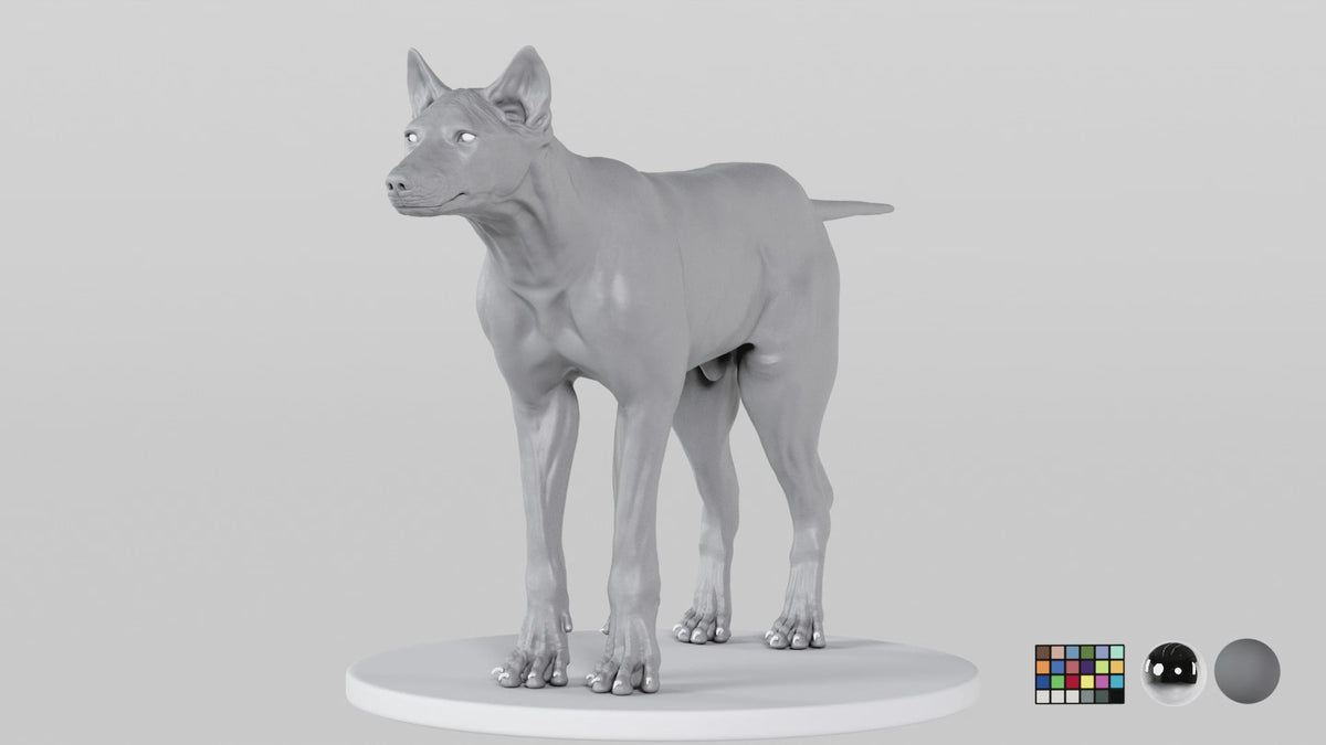 Grey Wolf