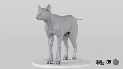 Grey Wolf