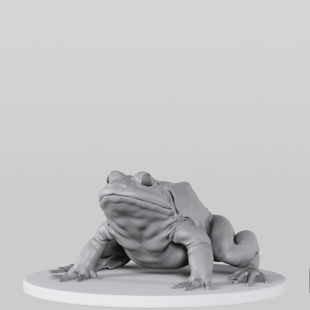 Load video: Bullfrog