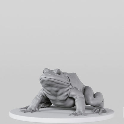 Bullfrog