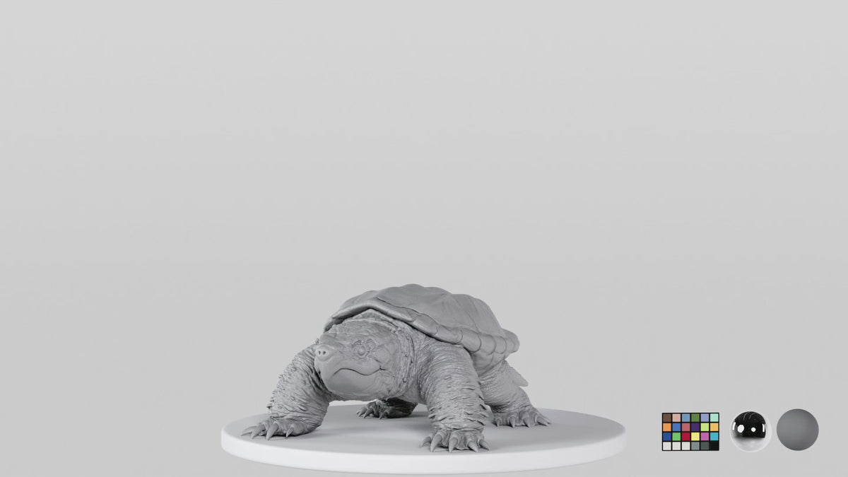 Snapping Turtle