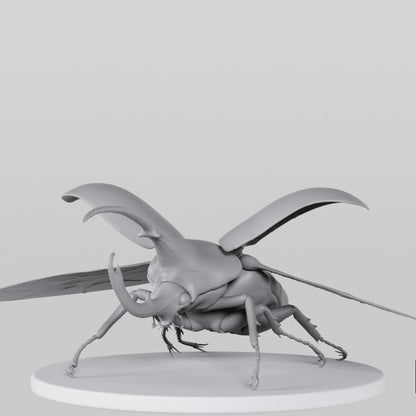 Beetle