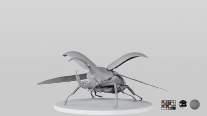 Beetle