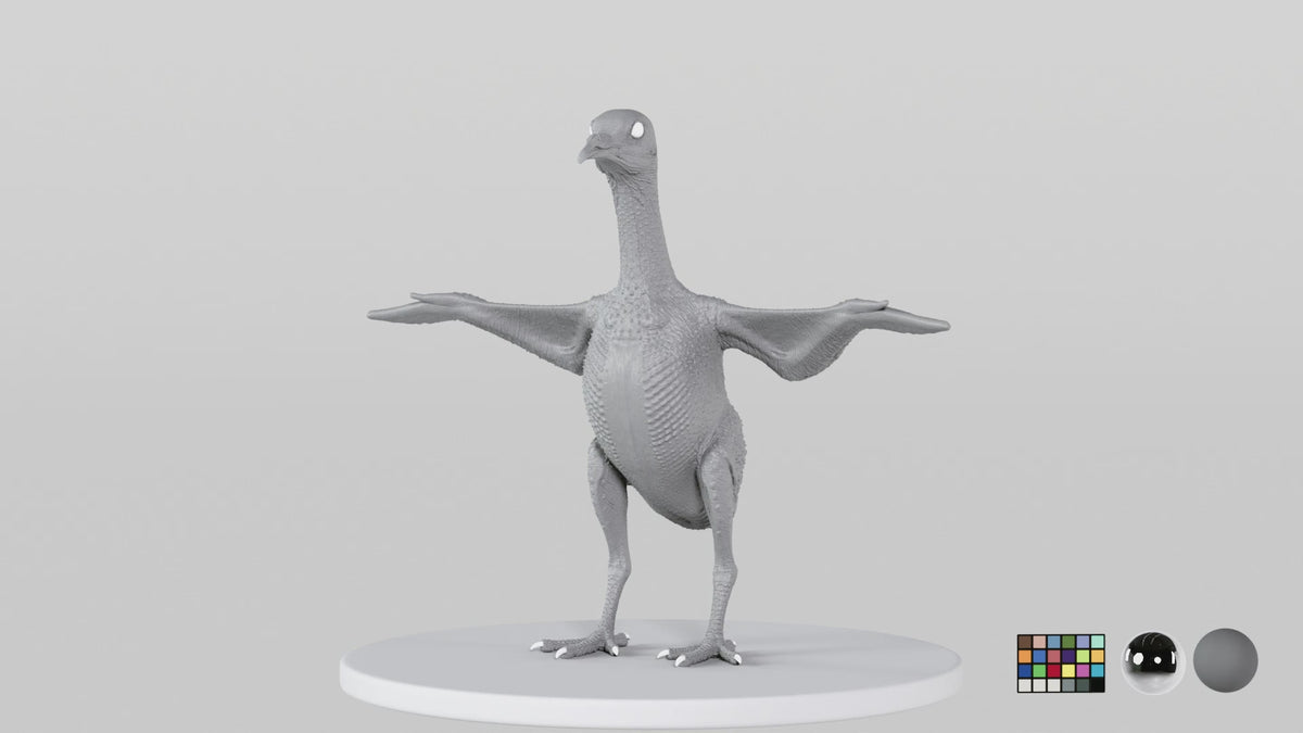 Pigeon