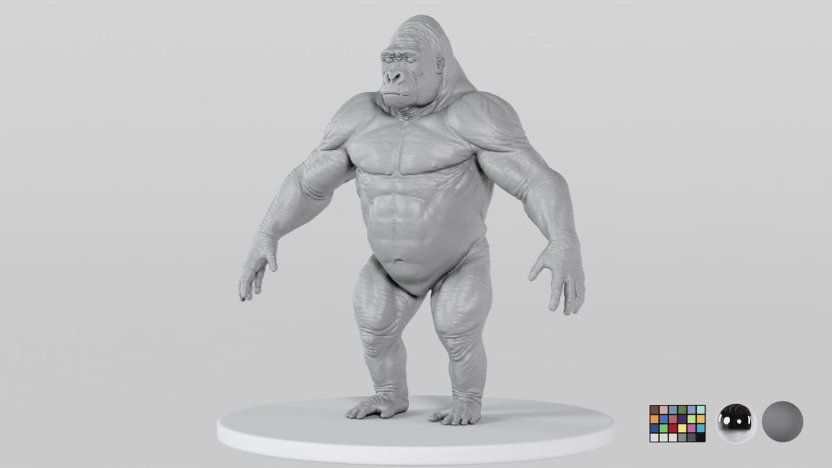 Gorilla