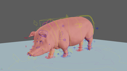 Pig