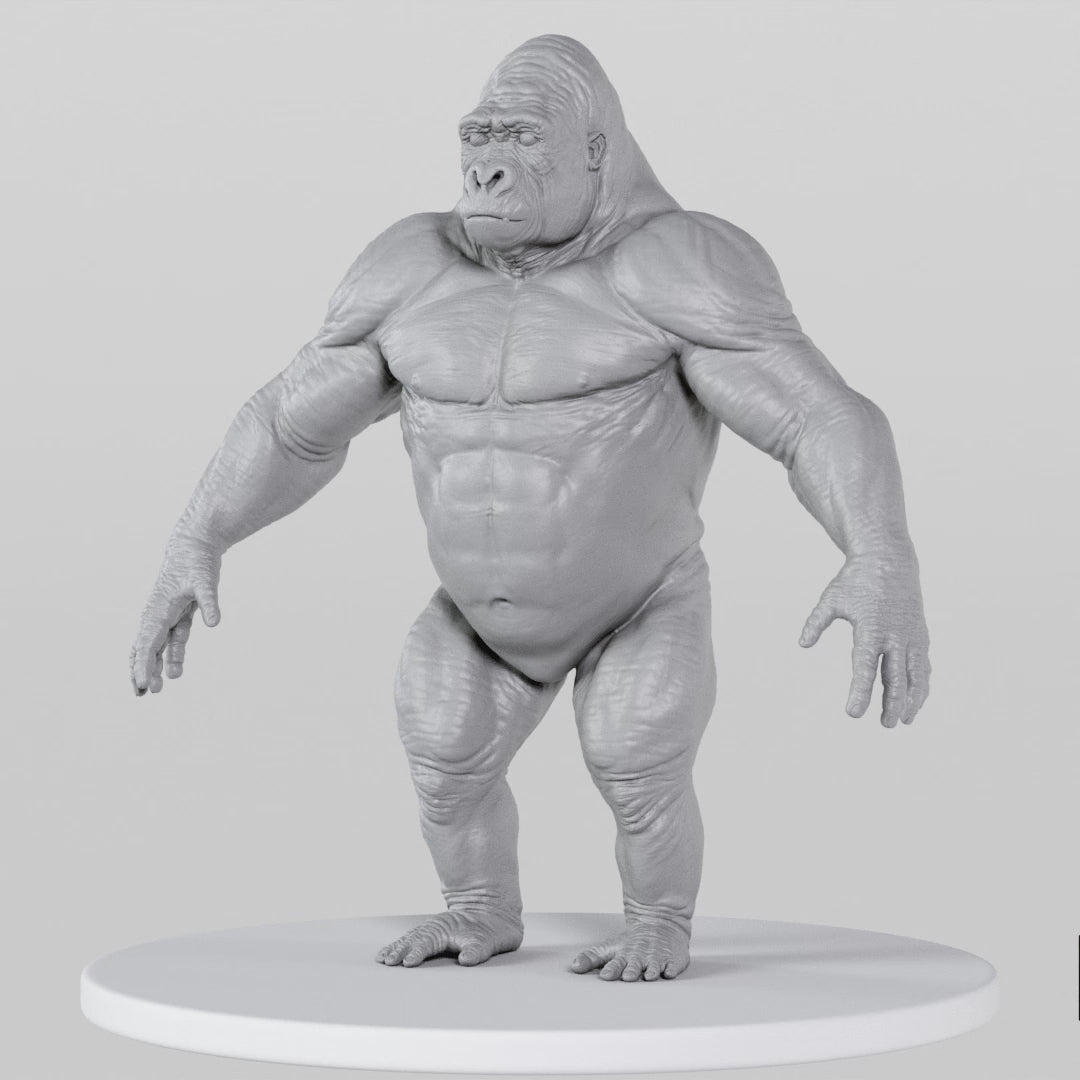 Load video: Gorilla