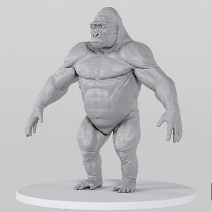 Gorilla