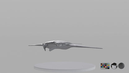 Manta Ray