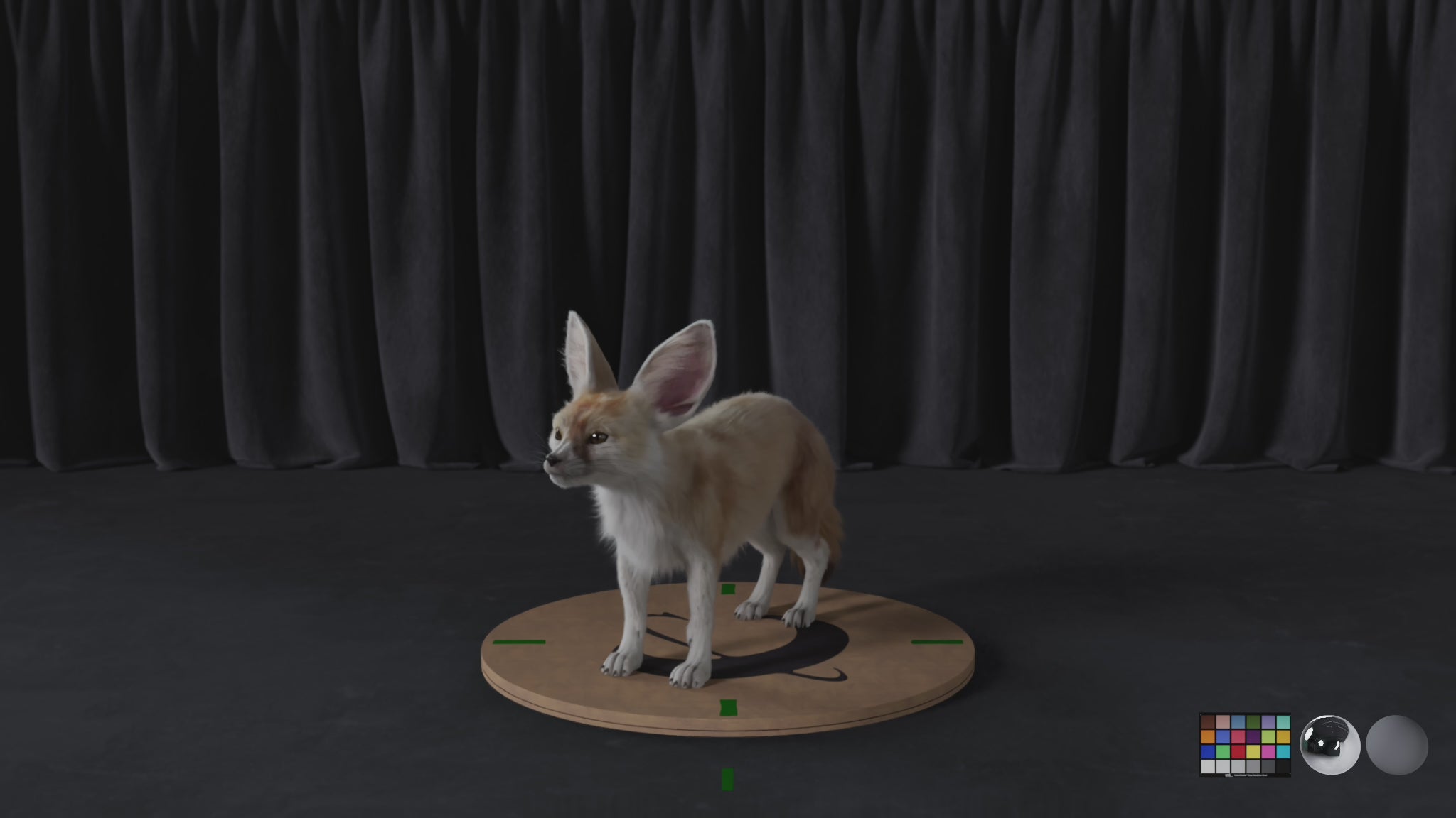 Fennec Fox