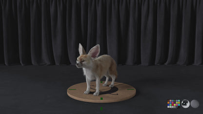 Fennec Fox