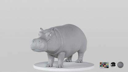 Hippopotamus
