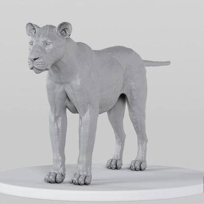 Lion