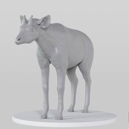 Okapi