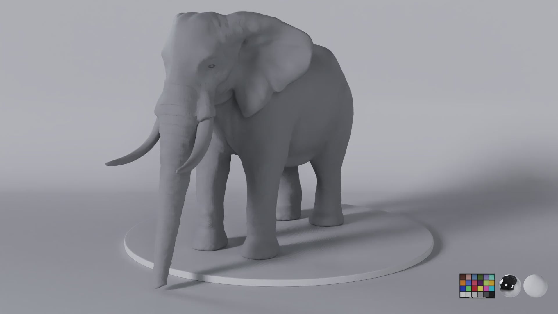 African Elephant
