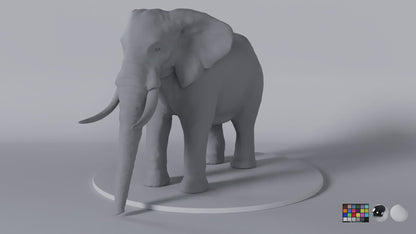 African Elephant