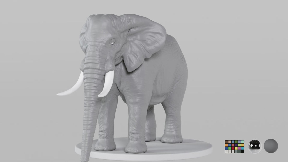 Elephant