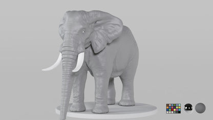 Elephant
