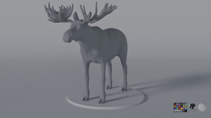 Moose