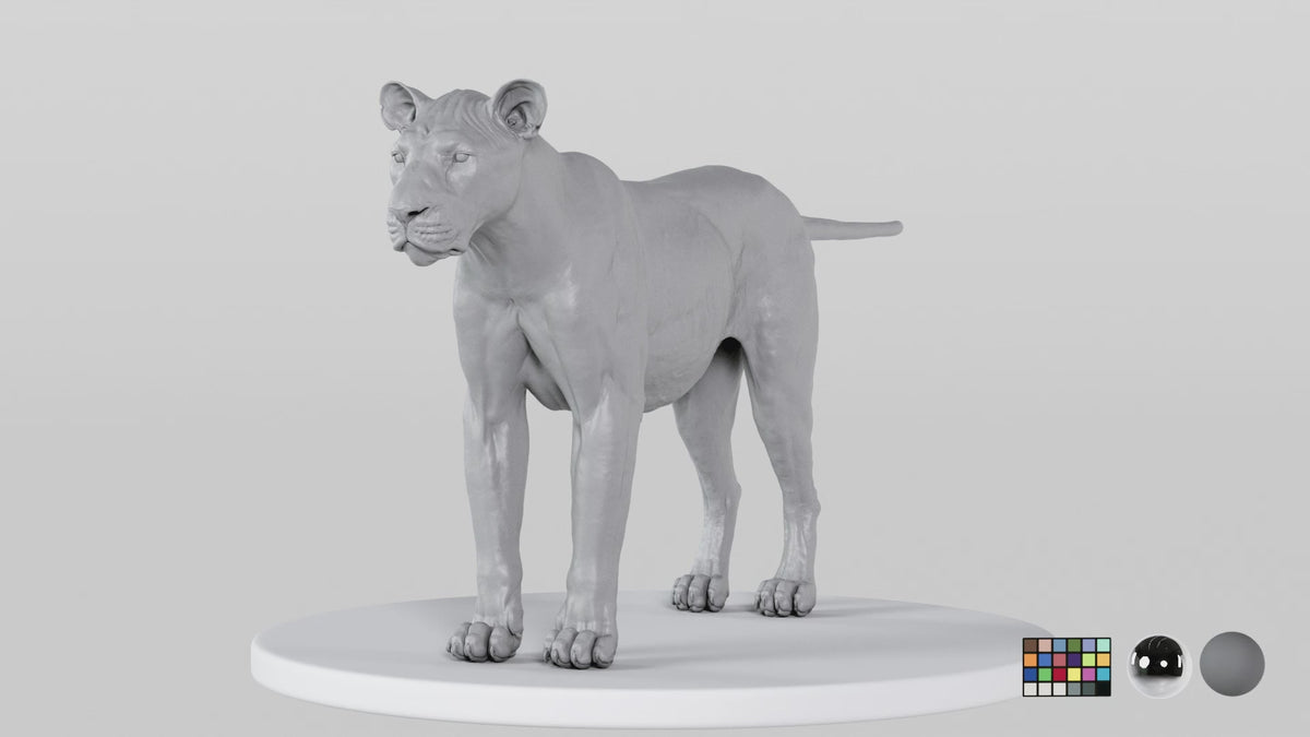 Lion