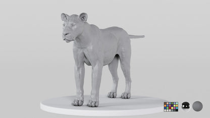 Lion
