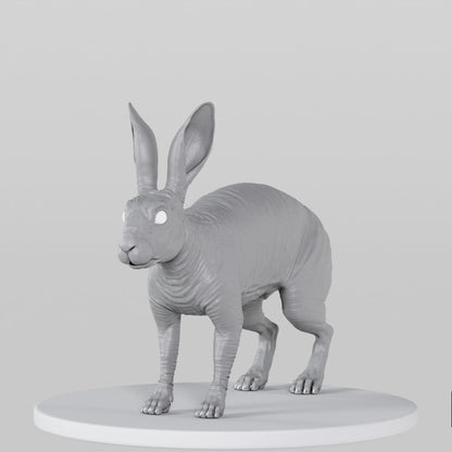 Rabbit
