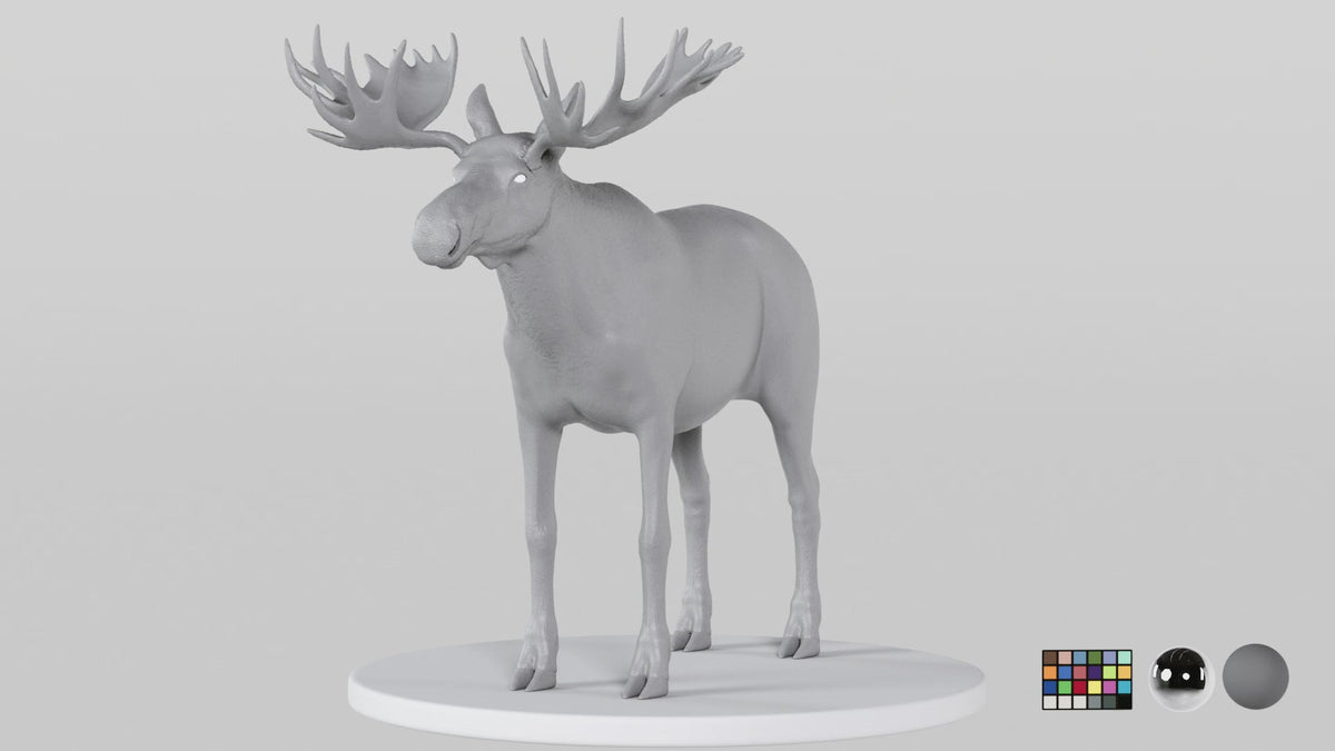 Moose