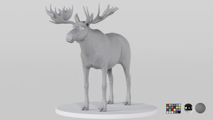 Moose