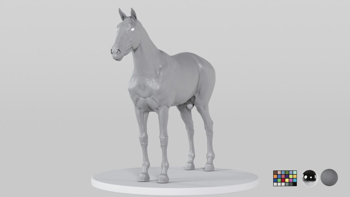 Horse