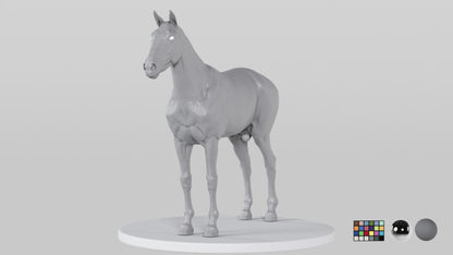 Horse