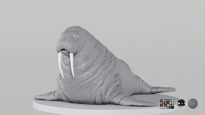Walrus