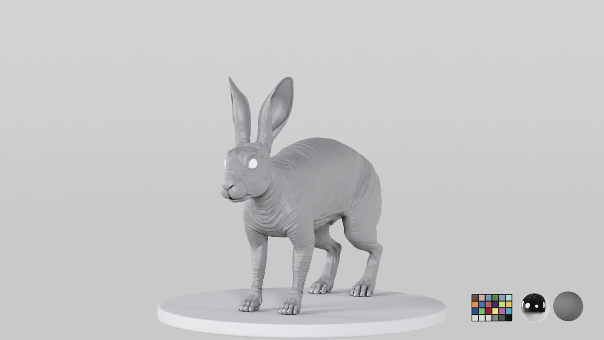 Rabbit