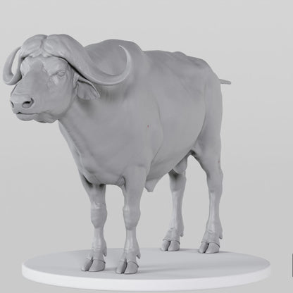 Buffalo