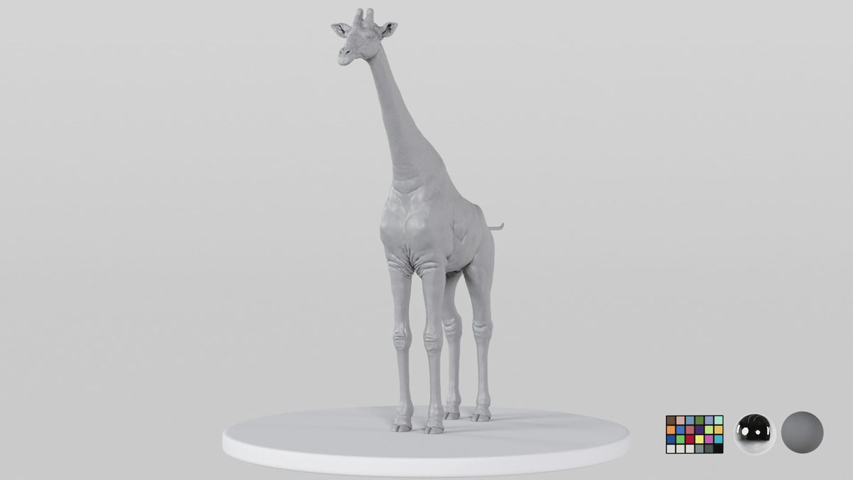 Giraffe
