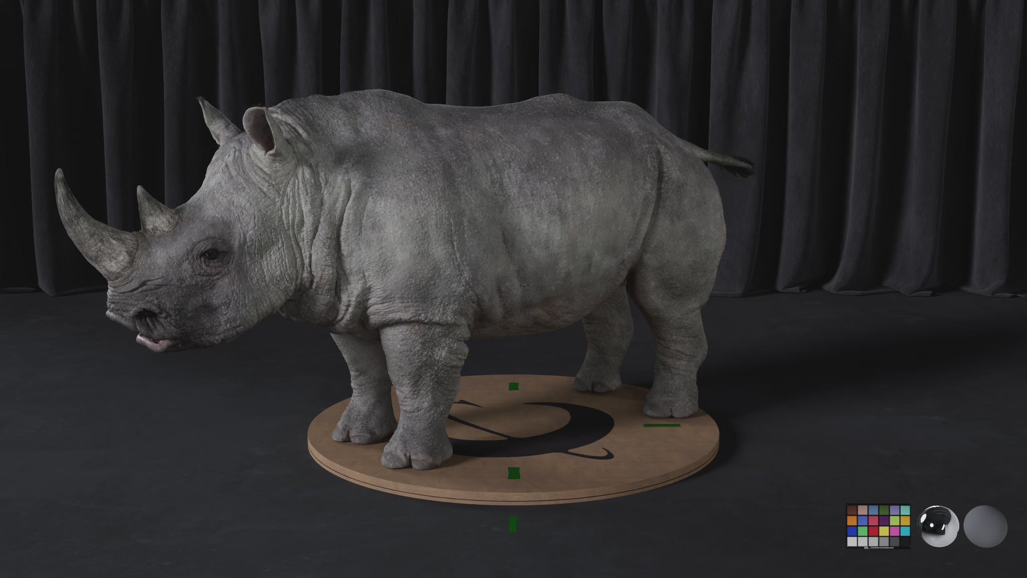 White Rhino