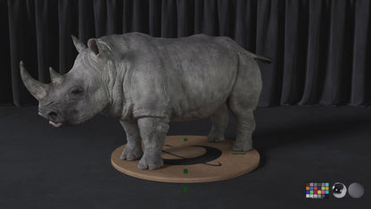 White Rhino