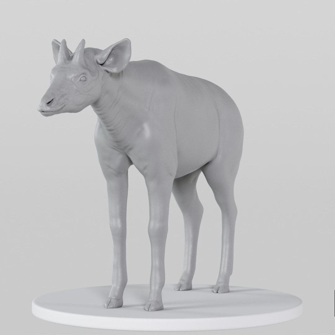 Okapi