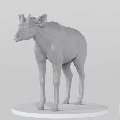 Okapi