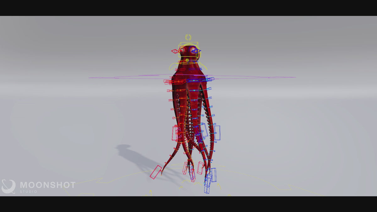 Octopus