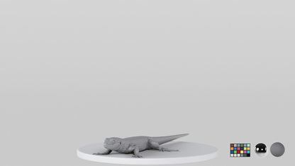 Lizard